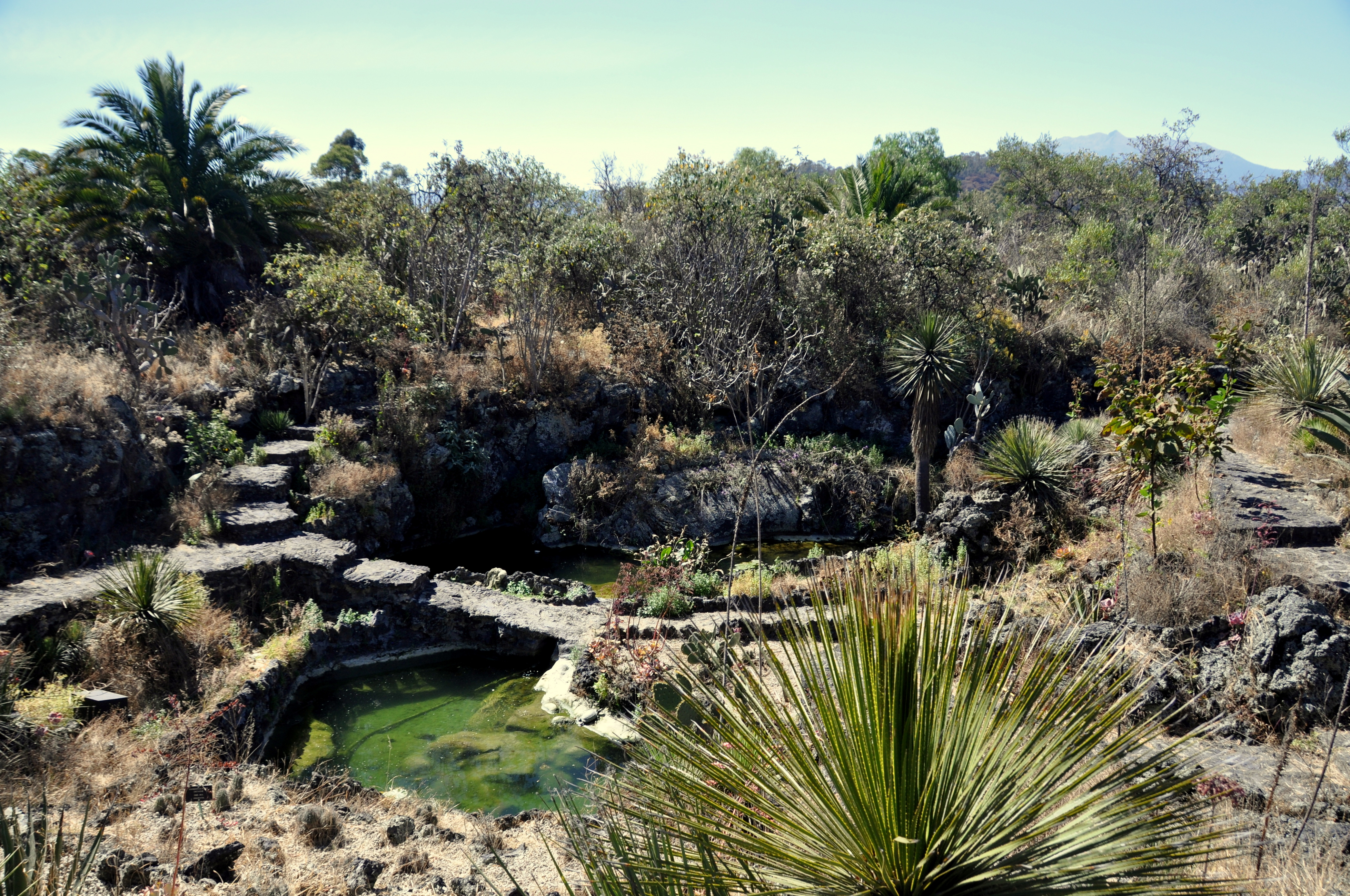 Botanical Gardens around the World – GringoPotpourri